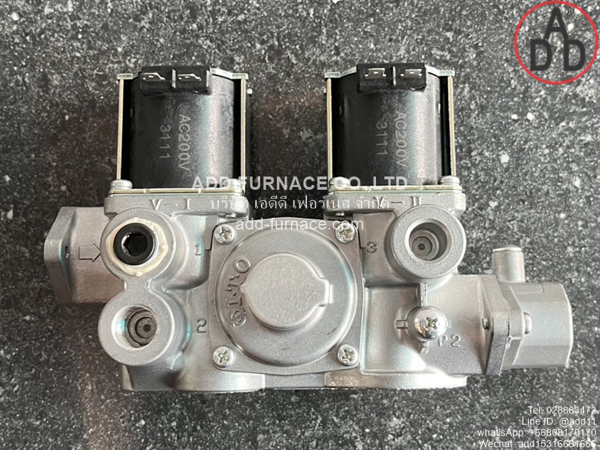WS-102-100 AC200V (5)